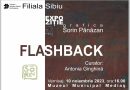 Artistul plastic medieșean Sorin Pănăzan expune la Muzeul Municipal